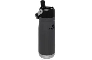 Image of Stanley 22oz Classic Flip Straw Water Bottle, Charcoal, 10-09992-002
