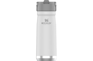 Image of Stanley 22oz Classic Flip Straw Water Bottle, Polar, 10-09992-001