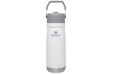 Image of Stanley 22oz Classic Flip Straw Water Bottle, Polar, 10-09992-001