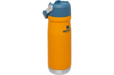 Image of Stanley The IceFlow Flip Straw Water Bottle, Orange, 10-09992-004