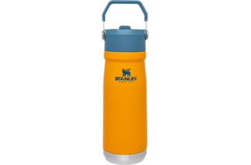 Image of Stanley The IceFlow Flip Straw Water Bottle, Orange, 10-09992-004