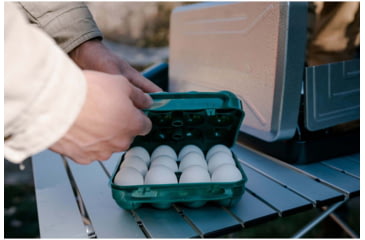 Image of Stansport Egg Container, 12 Eggs 48261