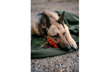 Image of Stansport Wool BlanKet, 60x80in, Olive, 1244