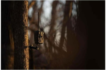 Image of Stealth Cam Trail Cam Eco Mount, Black, STC-ECMNT