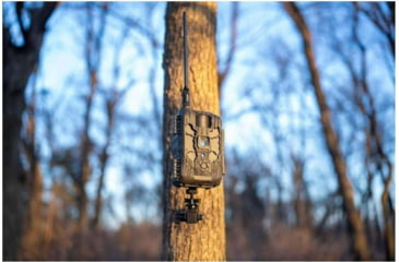 Image of Stealth Cam Trail Cam Eco Mount