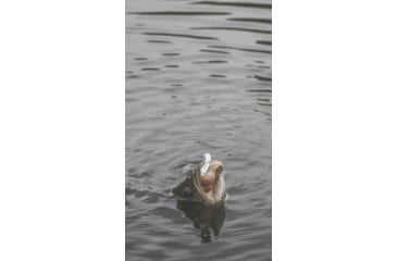 Image of SteelShad Heavy, 1/2 Oz, Glow Silver, SSL-10218