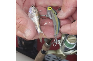 Image of SteelShad Heavy, 1/2 Oz, Sexy Shad, SSL-10123