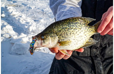 Image of SteelShad Heavy, 1/2 Oz, Wonderbread, SSL-10137