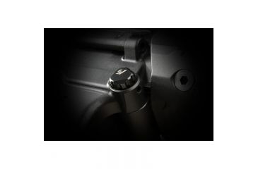 Image of Strike Industries AR-10 Shift Takedown Pins, Black SI-AR10-SHIFT-BK