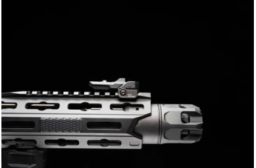 Image of Strike Industries Polymer Backup Sights, Black, SI-SPBUS