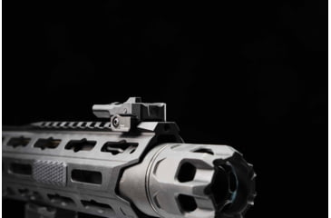 Image of Strike Industries Polymer Backup Sights, Black, SI-SPBUS