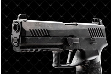 Image of Strike Industries Strike Iron Sights for SIG Sauer P320, Suppressor Height, Black, One Size, SI-P320-SIGHTS-SH