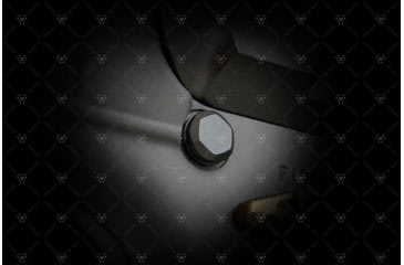 Image of Strike Industries Ultra Light Pivot Takedown Pins, Black, One Size, SI-AR-UL-EPTP-BK