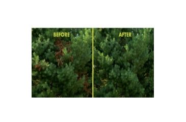 Image of Sun Joe 10-Inch 8-Amp Electric Pole Chain Saw, Green SWJ803E