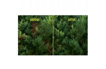 Image of Sun Joe 8-Inch 6.5-Amp Electric Pole Chain Saw, Green SWJ802E