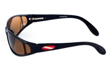 Image of Dive Optics / Cozumel Sunglasses, Black Frame, Brown Lens