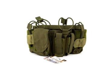 Image of Tactical Assault Gear MOLLE Assaulters Panel, Ranger Green 832634