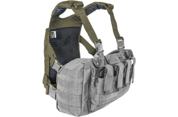 Image of Tasmanian Tiger Trooper Back Plate Carrier, Olive, TT-7789-331
