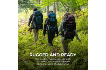 Image of TETON Sports Scout 65L Backpack, Buck Brown, 2105SCBB