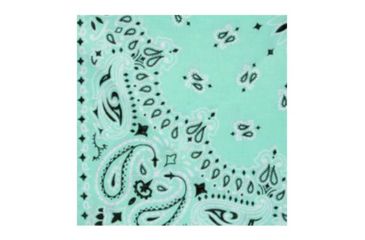 Image of Carolina Manufacturing Fahsion Light, BAN-B22PAI-000051