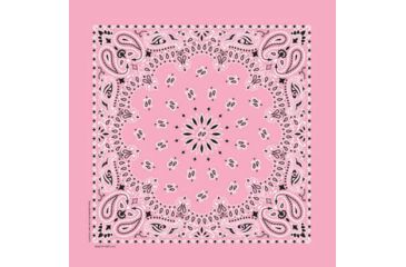 Image of Carolina Manufacturing Paisley Light Pink, Paisley Light Pink, BAN-00220