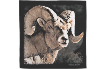 Image of The Printed Image Bighorn Bandana 643