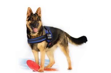Image of Thin Blue Line Dog Harness, , Thin Blue Line - DOG-HARN-TBL-LARGE-KIT