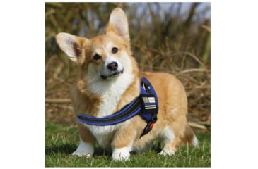 Image of Thin Blue Line Dog Harness, , Thin Blue Line - DOG-HARN-TBL-LARGE-KIT