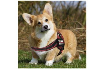 Image of Thin Blue Line Dog Harness, , Thin Red Line - DOG-HARN-TRL-LARGE-KIT