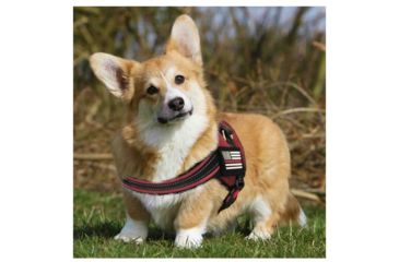 Image of Thin Blue Line Dog Harness Thin Red Line - DOG-HARN-TRL-XXL-KIT