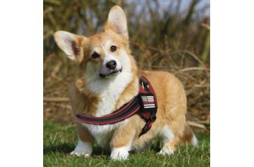 Image of Thin Blue Line Dog Harness Thin Red Line - DOG-HARN-TRL-XXXL-KIT