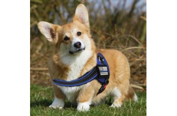 Image of Thin Blue Line Harness With Patch, Thin Blue Line - DOG-HARN-TBL-MEDIUM-KIT