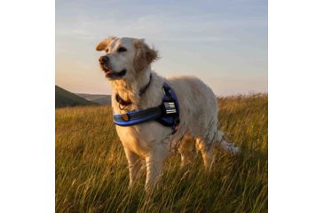 Image of Thin Blue Line Harness With Patch, Thin Blue Line - DOG-HARN-TBL-MEDIUM-KIT
