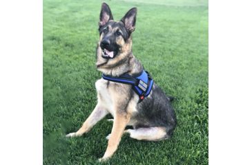 Image of Thin Blue Line Harness With Patch, Thin Blue Line - DOG-HARN-TBL-MEDIUM-KIT