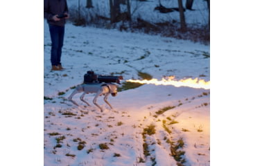 Image of Throwflame Thermonator Flamethrower, 30 x 20 x 20 in, TF-X0030719