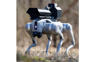 Image of Throwflame Thermonator Flamethrower, 30 x 20 x 20 in, TF-X0030719