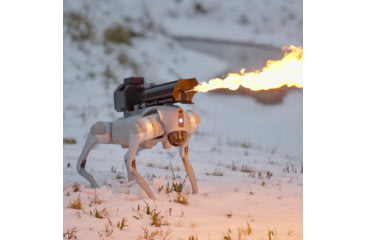 Image of Throwflame Thermonator Flamethrower, 30 x 20 x 20 in, TF-X0030719