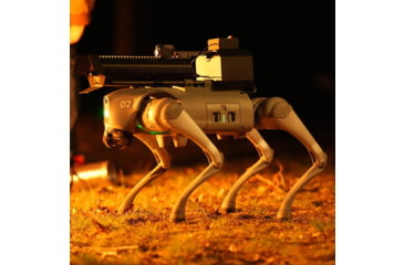 Image of Throwflame Thermonator Flamethrower, 30 x 20 x 20 in, TF-X0030719