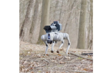 Image of Throwflame Thermonator Flamethrower, 30 x 20 x 20 in, TF-X0030719