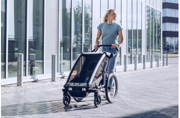 Image of Thule Chariot Lite 2, Agave/Black, 10203022