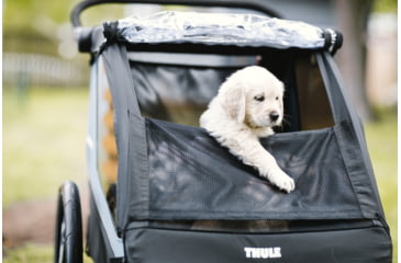 Image of Thule Courier, Aegean Blue, 10102001