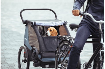 Image of Thule Courier, Aegean Blue, 10102001