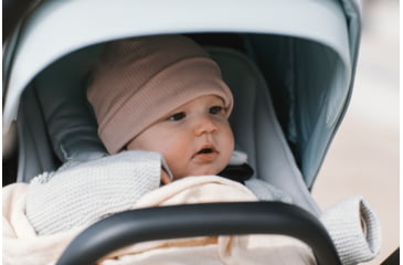 Image of Thule Newborn Inlay, Gray, 11200301