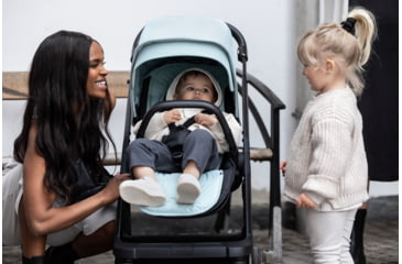 Image of Thule Stroller Seat Liner, Alaska, 11200331
