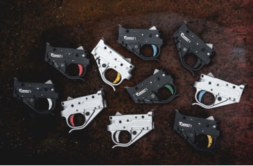 Image of Timney Triggers Ruger 10/22 Silver Housing, Silver Shoe, 1022-6C-16