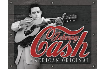 Image of Tin Signs Cash American Original
