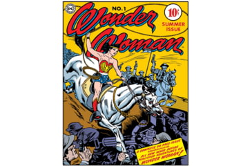 Image of Tin Signs Wonder Woman #1 Cover