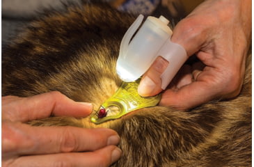 Image of TipSee Light TickSee Tick Removal Kit, Original Tickkey, Wearable Led Flashlight, 4 Antiseptic Wipes, GR400-TSKT