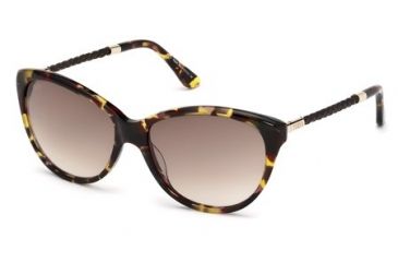 Image of Tod's TO0082 Sunglasses - Havana Frame Color