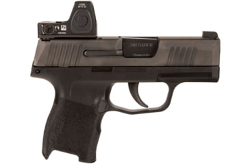 Image of Trijicon RMR Mount Plate for Sig Sauer 365, Black, AC32095